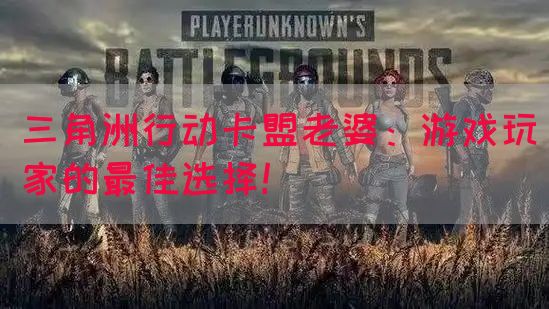 三角洲行动卡盟老婆：游戏玩家的最佳选择！(图1)