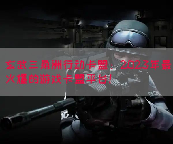 玄武三角洲行动卡盟：2023年最火爆的游戏卡盟平台！(图1)