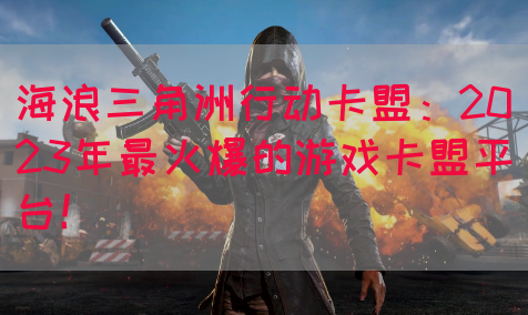 海浪三角洲行动卡盟：2023年最火爆的游戏卡盟平台！