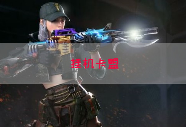 挂机卡盟(图1)
