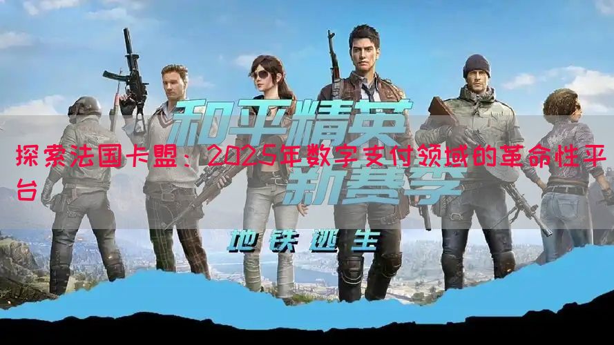 探索法国卡盟：2025年数字支付领域的革命性平台(图1)
