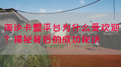 淘沙卡盟平台为什么受欢迎？揭秘背后的成功秘诀(图1)